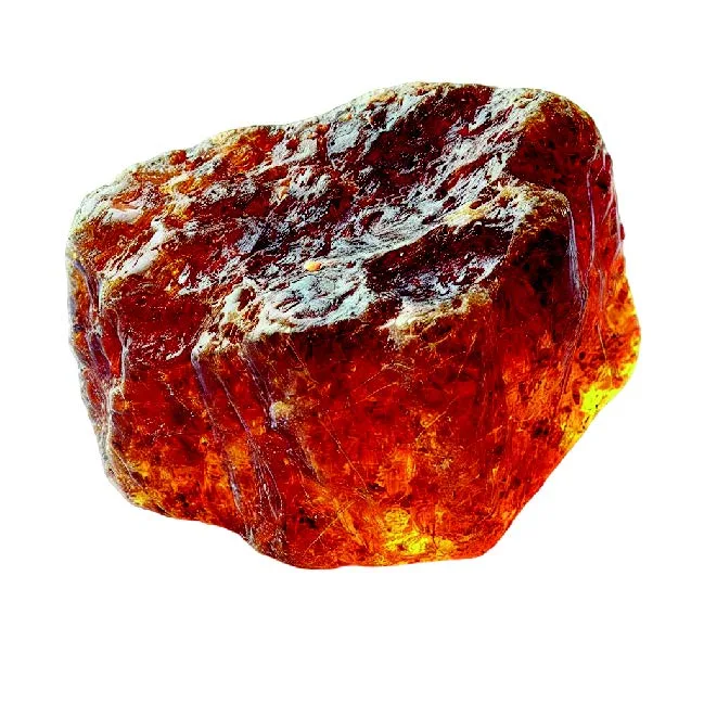 L'ambre